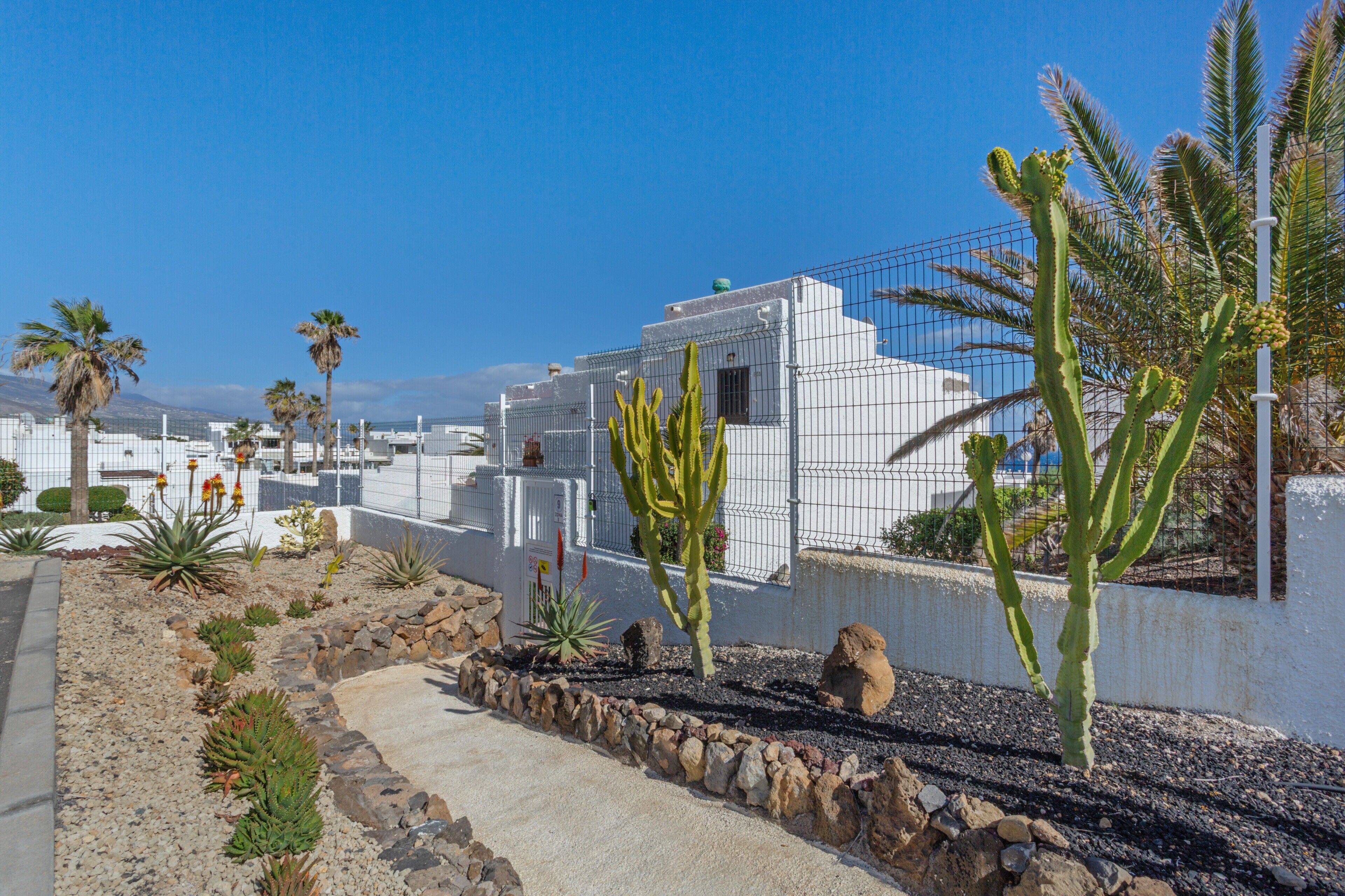 A desert landscape with cacti, a paved walkway, and white buildings with a wire fence.