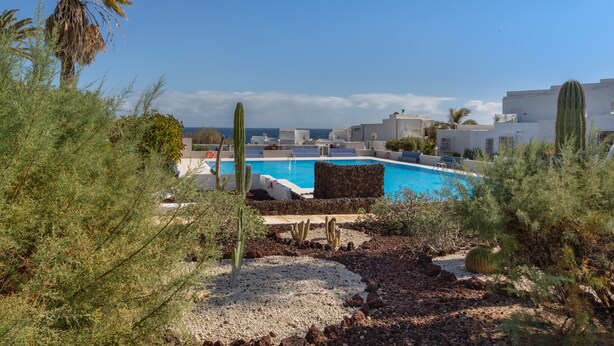 Ein Pool, umgeben von Kakteen und Wüstenpflanzen, mit blauem Himmel und Gebäuden in der Ferne.