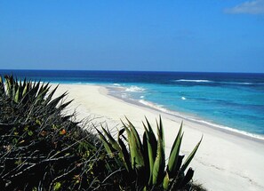 A beach with clear blue water, white sand, and green vegetation in the foreground.