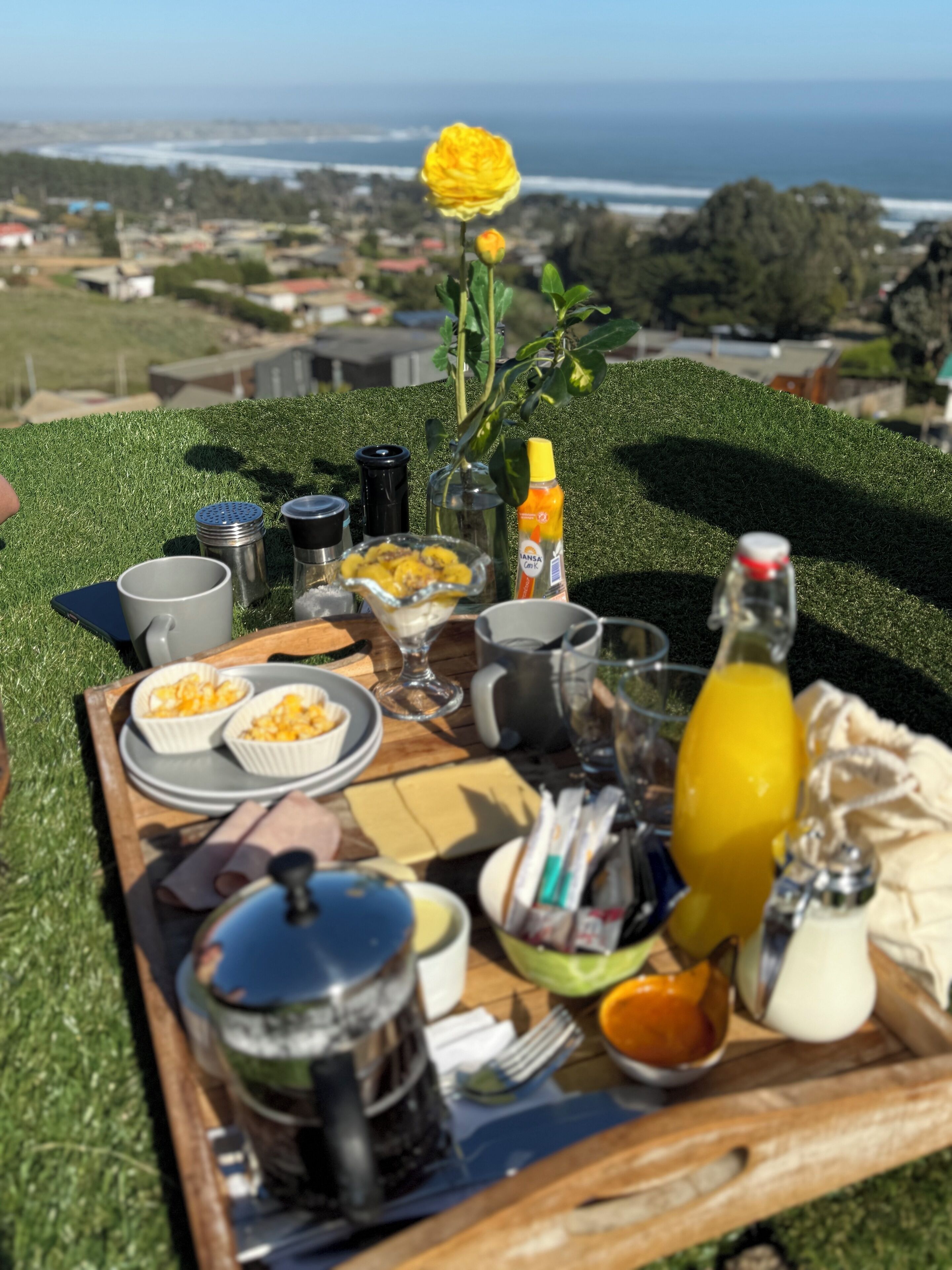 A breakfast setup on a grassy area with a scenic view of the ocean and buildings in the background.