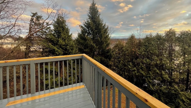A wooden deck with a view of a forest and a cloudy sky.
