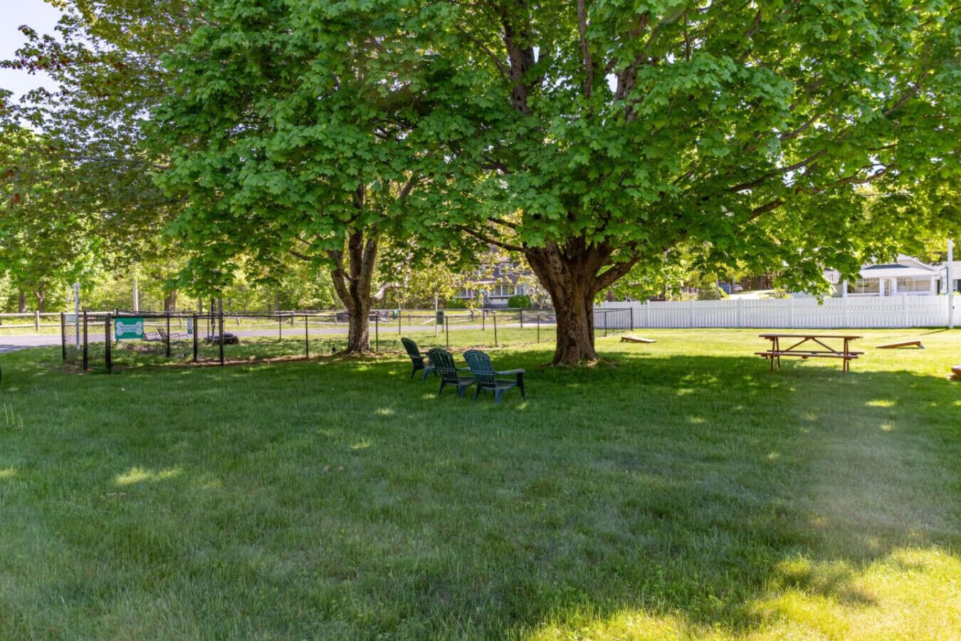 Un parc avec de l’herbe verte, deux grands arbres, une table de pique-nique et un banc.
