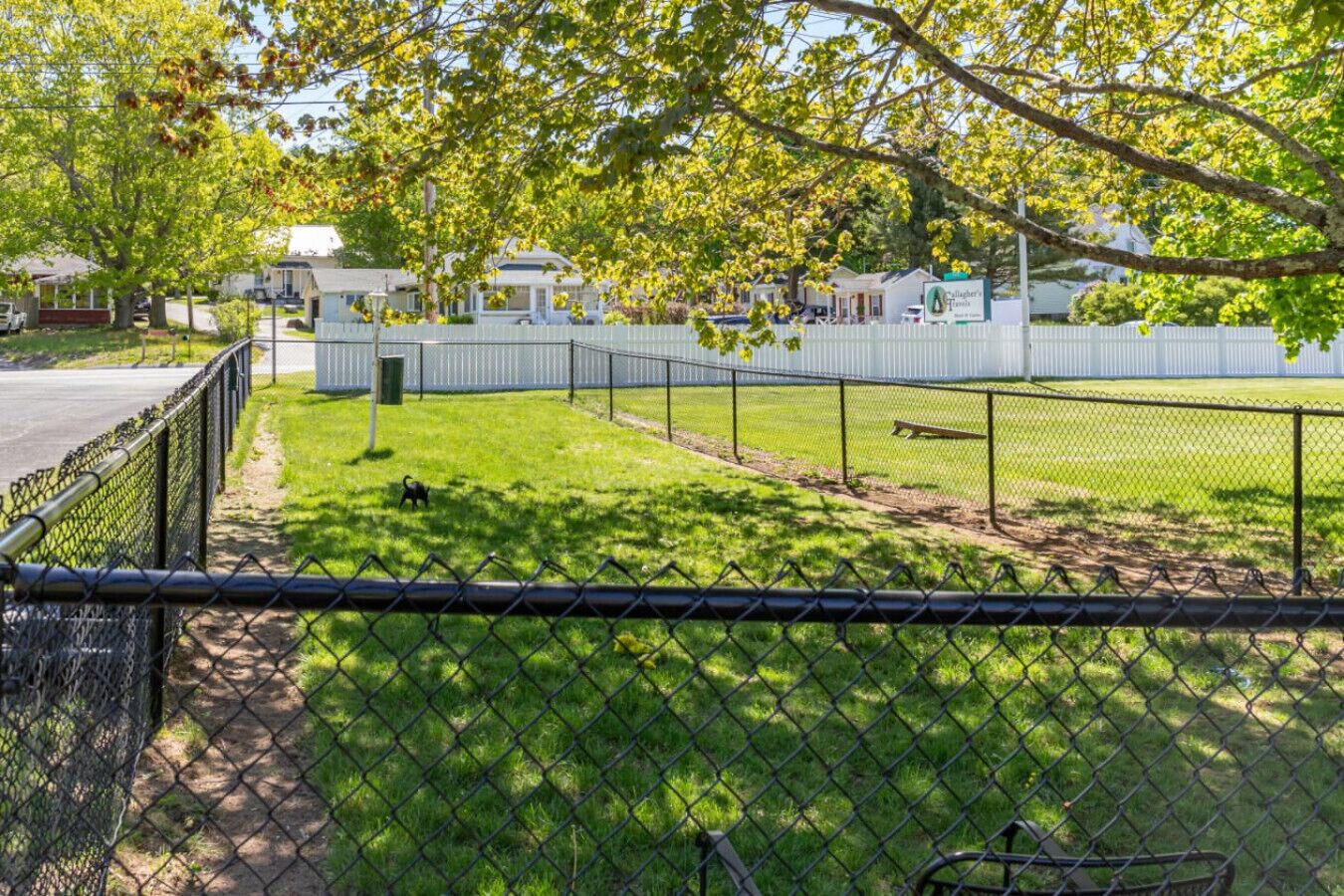A fenced dog park with a grassy area and a white fence.