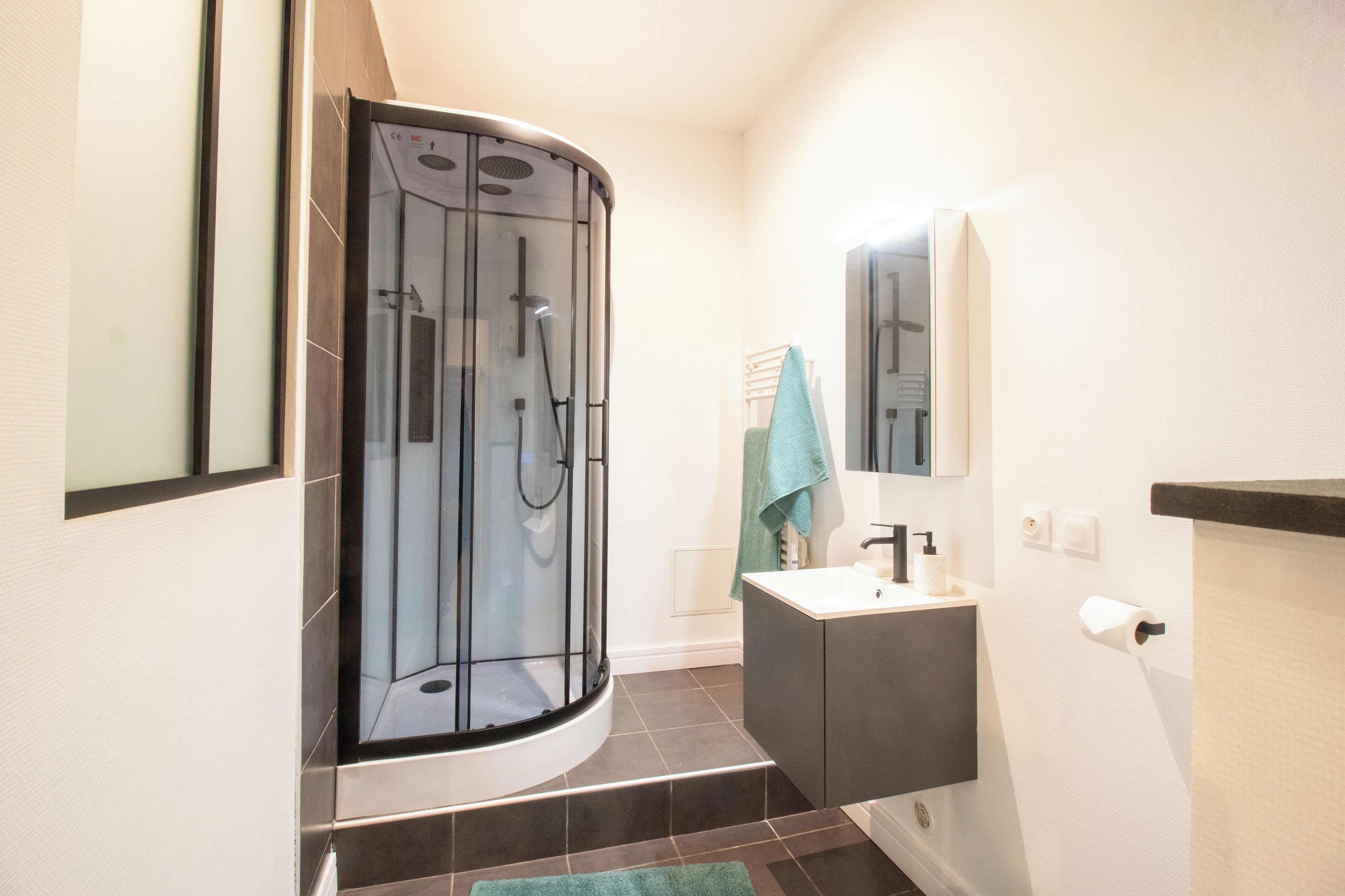 Sèche-cheveux, serviettes fournies, papier toilette