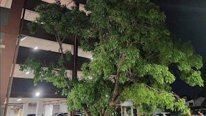 A multi-story parking garage with a tree in the foreground. - H2o Residences Colombo (Colombo)