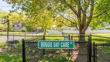 A fenced dog park with a sign reading "DOGGIE DAY CARE".