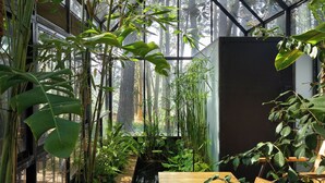 A greenhouse with a wooden bench, various plants, and a glass ceiling allowing natural light. - Kaya Retreat (Diyatalawa)