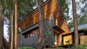 Una cabaña moderna de madera con ventanas amplias y techo inclinado, rodeada de árboles altos.