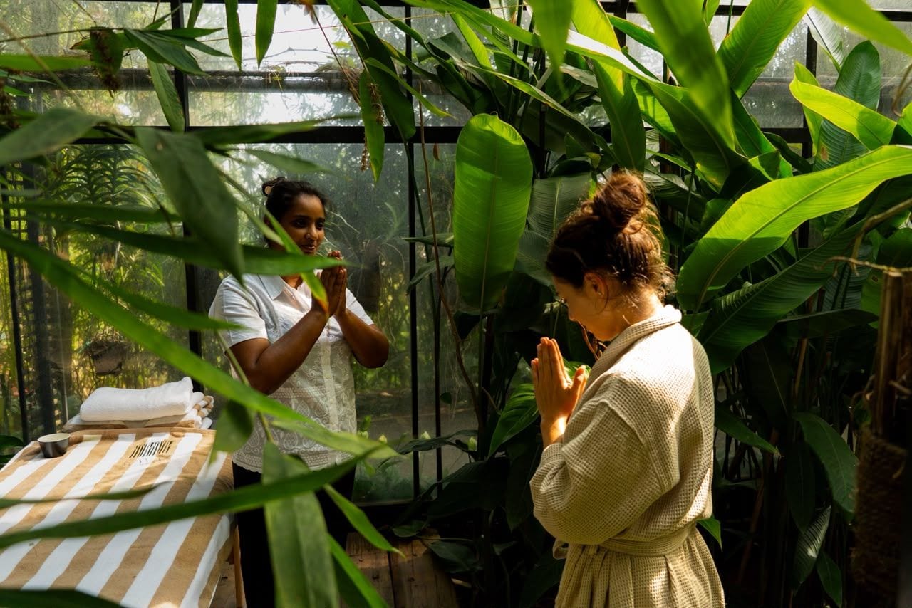 To personer i et drivhus med store planter, et bord dækket af et stribet stof og et vindue.