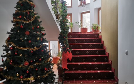 A staircase with red carpet and a Christmas tree decorated with ornaments.