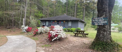 A rustic cabin with a picnic table and a sign welcoming visitors to the Great Little Orchard, surrounded by dense forest.