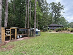 Exterior - The Great Little Orchard, "The GLO"- Cozy cottage with game room, mini trail (Jonesboro)