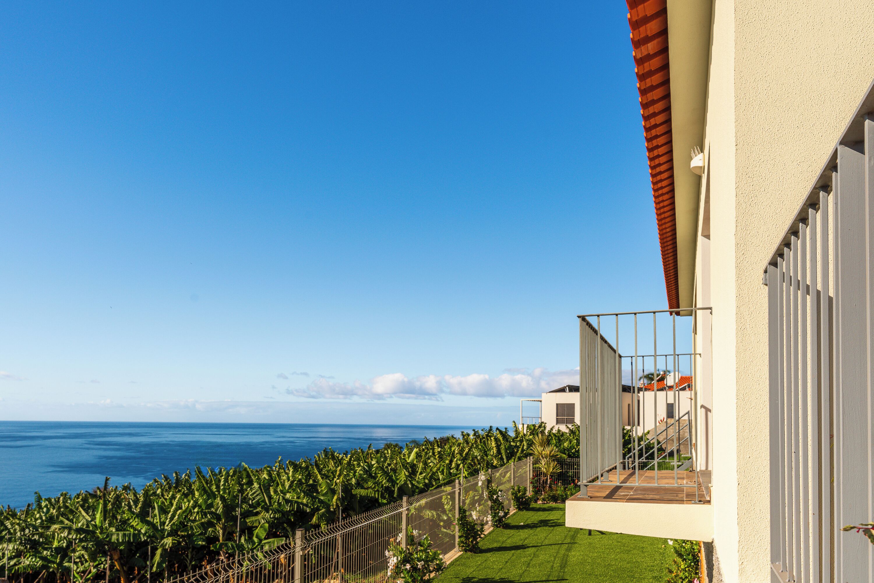 A balcony with a view of the ocean and a row of banana trees.