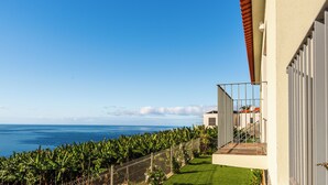 Ein Balkon mit Blick auf das Meer und einer Reihe von Bananenbäumen.