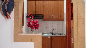 A compact kitchen with wooden cabinets, a sink, and a small countertop.