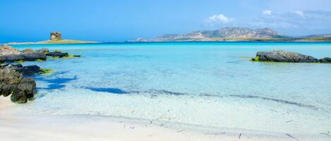 Apartment, 1 Bedroom | Beach