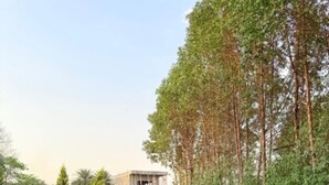 Une piscine avec une terrasse en bois, entourée d’arbres et avec un bâtiment visible au loin.