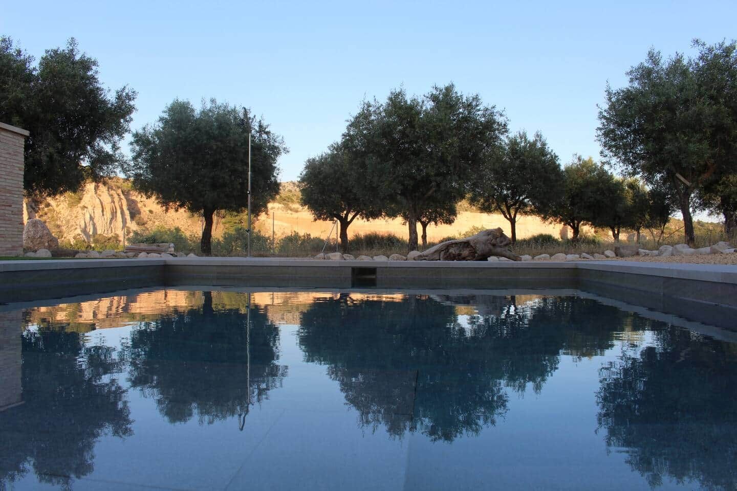 Une piscine à l’eau claire, entourée d’arbres et bordée d’un paysage rocheux.