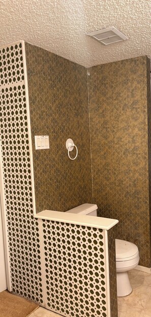 Hiustenkuivaaja, pyyhkeet, saippua, vessapaperi