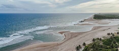 Basic Apartment | Beach