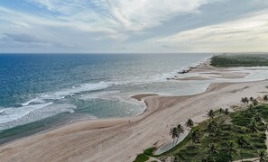 Een kustlandschap met een strand, oceaan en palmbomen.