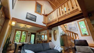 TV connectée, cheminée, lecteur de DVD, livres