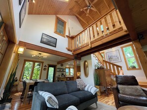 TV connectée, cheminée, lecteur de DVD, livres