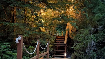 Terrain de l’hébergement