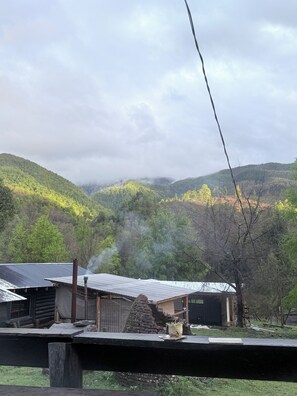 Property grounds - Mountain cabin, natural environment, Huequecura river tourist attractions (Santa barbara)