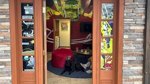 A room with a stone wall, a red bean bag, a black dog, and a door with space-themed artwork.