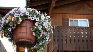 Un cesto di fiori pensili con diverse varietà floreali, una ringhiera in legno e la facciata di un edificio.