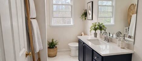 Hair dryer, towels, soap, toilet paper