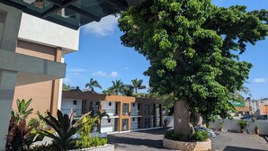 Un bâtiment moderne avec un grand arbre au centre, entouré de plantes en pot et d’une aire de stationnement.