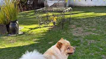 Een hond in een achtertuin met een patio tafel, stoelen en een hek.