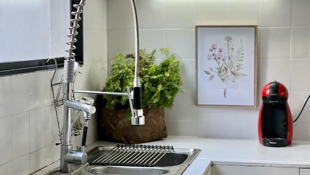 Et køkken med en stålvask, en moderne armatur, en potteplante og et indrammet botanisk tryk på væggen.