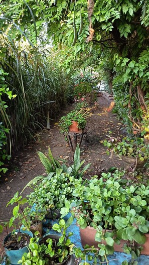 Full-size fridge, microwave, stovetop, dishwasher - La Estancia hostel (Colonia del Sacramento)