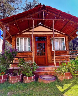 Exterior detail - Cabaña 1 Hogar de leña puente colgante (Mineral del chico)