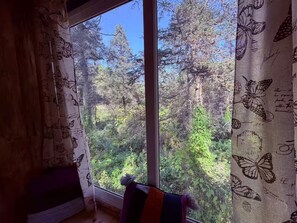 Interior - Cabaña Pico del Bosque con puente colgante (Mineral del chico)