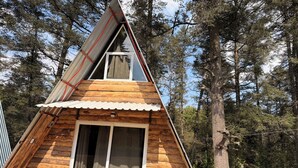 A wooden cabin with a triangular roof, a sliding glass door, and potted plants outside.