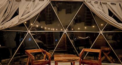 Party Dome By GEstores
