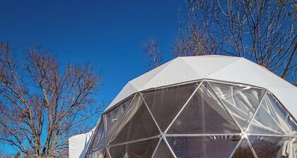 Party Dome By GEstores