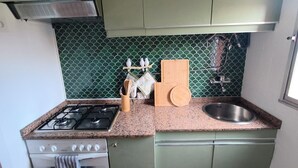 A compact kitchen with green cabinets, a granite countertop, a stainless steel sink, and a gas stove. - Charming apartment in Vigo with views of the valley (pet friendly) (Vigo)