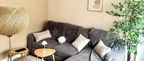 Smart TV, books, stereo