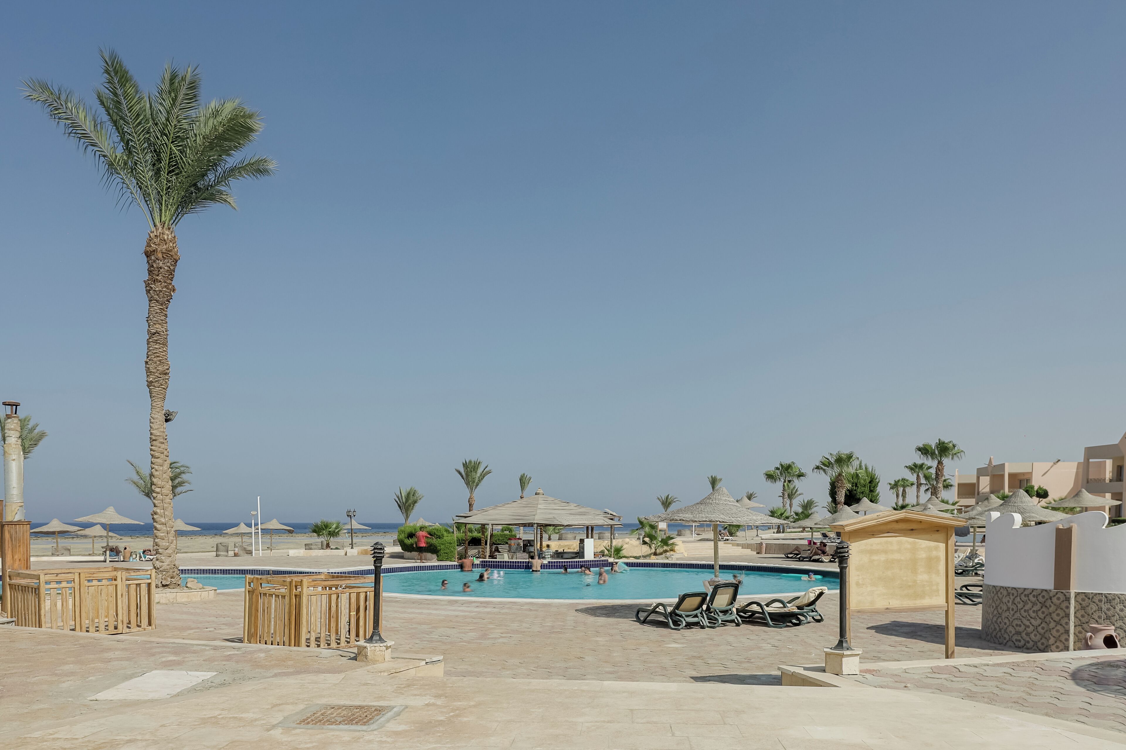 Zona de piscina en un resort con palmeras, sillas de descanso y vista despejada al mar.