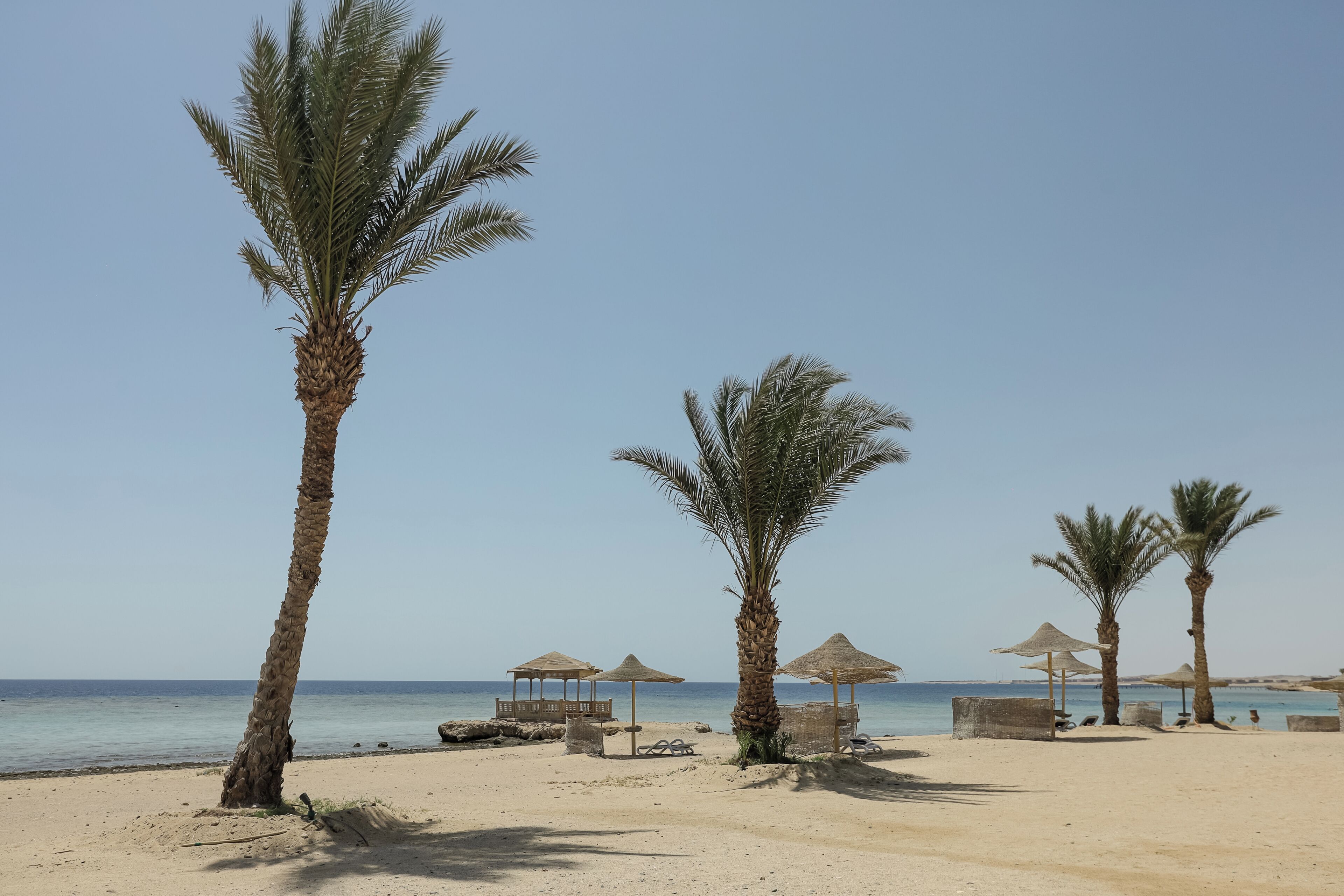 Een strand met palmbomen, strandparasols en een heldere lucht.