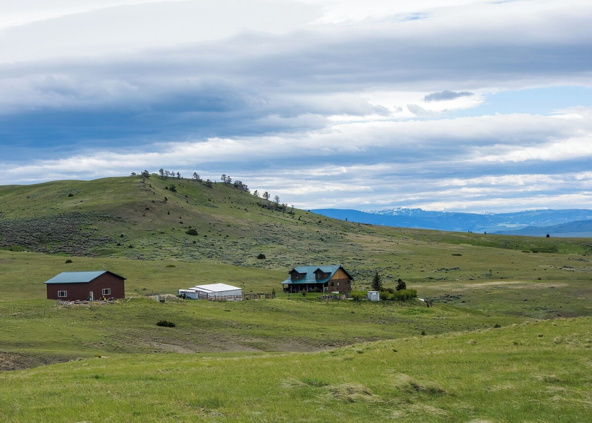 Imagen de perfil del propietario o de la propietaria