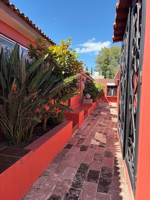 Habitación clásica | Terraza o patio