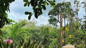 A garden pathway leading to a wooden staircase surrounded by lush greenery and tropical plants. - ANANA Yaaxlum 106 S (Tulum)
