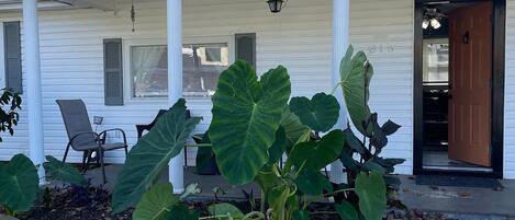 DĂ©tail de lâextĂ©rieur