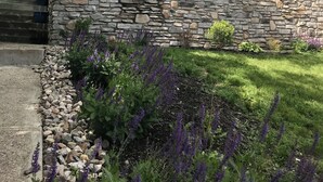 Une maison à deux étages, avec des fondations en pierre, un porche à l’avant orné de colonnes blanches et un petit jardin où poussent des fleurs violettes.